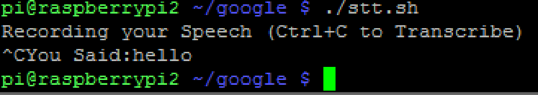 Spracherkennung mit Google Speech API