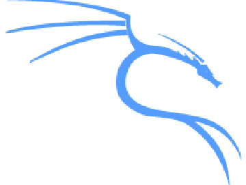 Kali Linux auf dem Raspberry Pi
